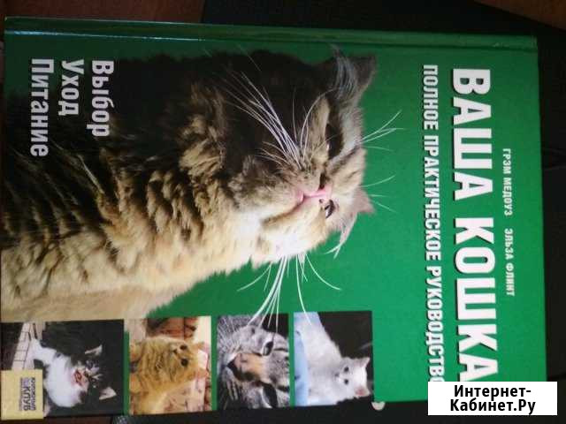 Ваша кошка Липецк - изображение 1