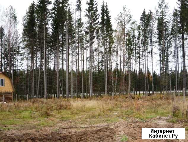 Участок 7.6 сот. (ИЖС) Березники - изображение 1