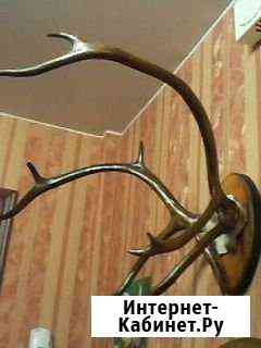 Настенные рога оленя Петропавловск-Камчатский