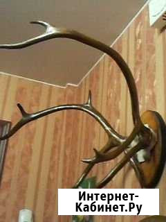 Настенные рога оленя Петропавловск-Камчатский - изображение 1