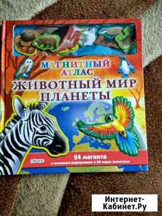 Книга Животный мир планеты с магнитами Киселевск