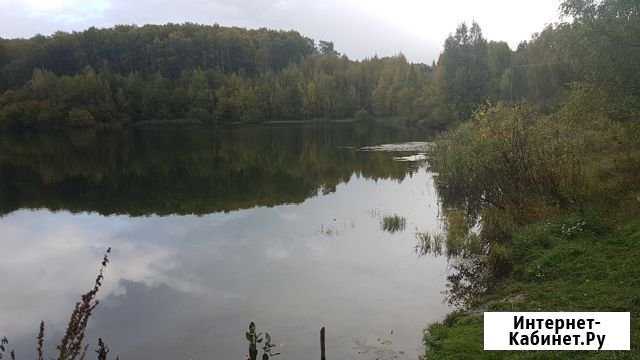 Участок 15 сот. (ИЖС) Богородск - изображение 1