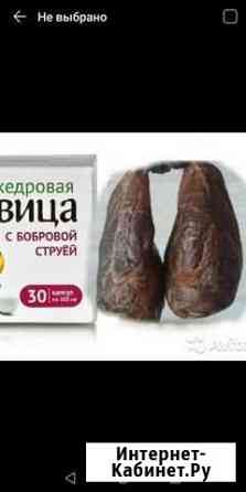 Сила бобра Череповец