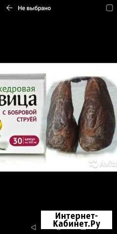 Сила бобра Череповец - изображение 1
