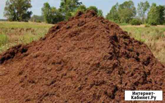 Продам навоз Нижний Новгород