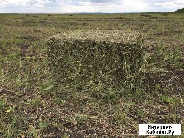 Сено Калининск - изображение 1