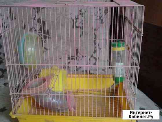 Клетка для хомячка Краснодар