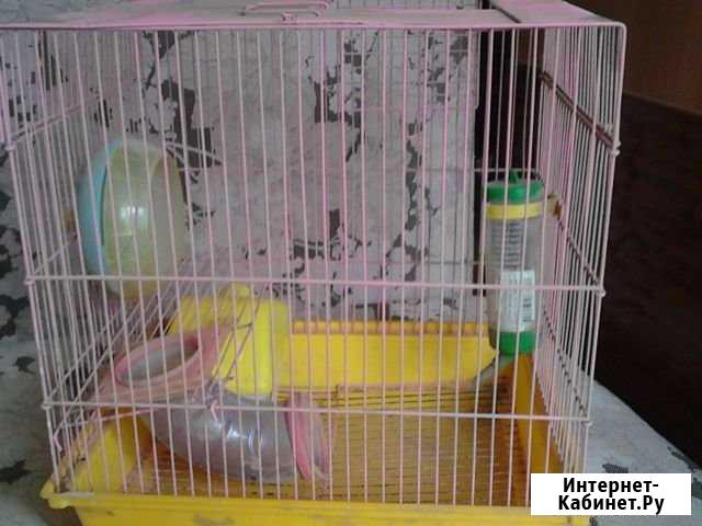Клетка для хомячка Краснодар - изображение 1