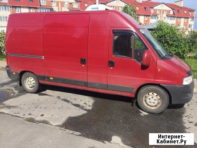 Грузоперевозки (рефрижератором) Великий Новгород - изображение 1