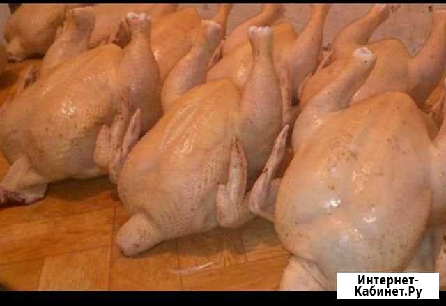 Мясо домашних кур и кроликов Димитровград - изображение 1