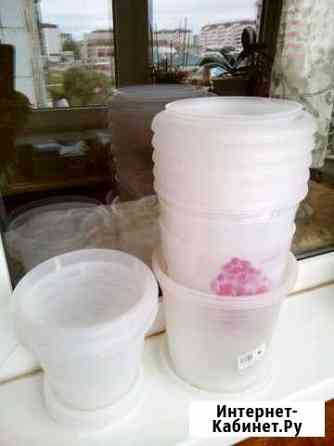 Кашпо прозрачные для орхидей Великий Новгород