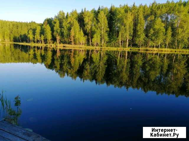 Дача 48 кв.м. на участке 12 сот. Петрозаводск - изображение 1