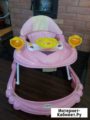 Ходунки Петрозаводск - изображение 1