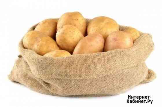 Продам картофель Балашов