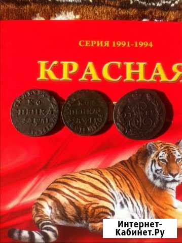 Копейки 1711,1713,1789 г Светлоград - изображение 1