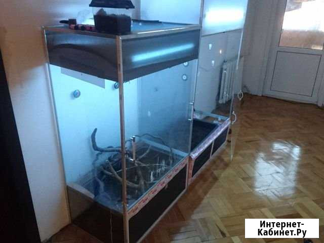 Террариум для животных Индустриальный - изображение 1