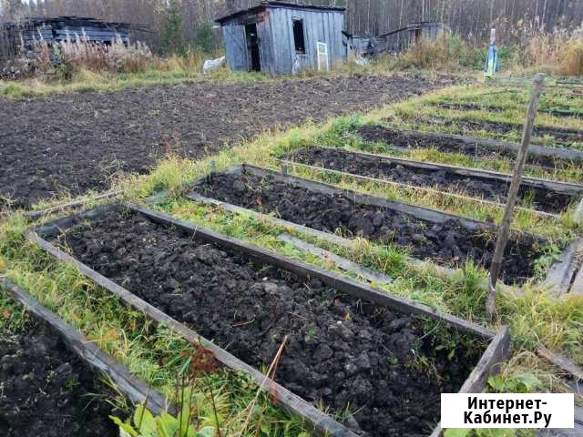 Дача 20 кв.м. на участке 15 сот. Троицко-Печорск - изображение 1