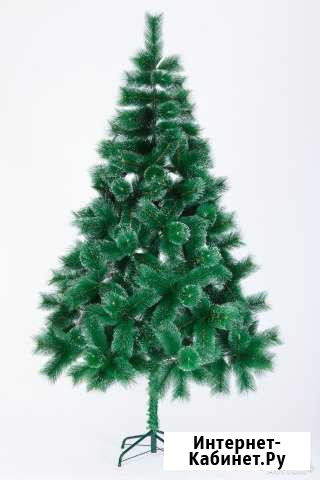 Елки Киров - изображение 1