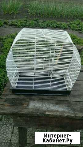 Клетка для птиц или грызунов Барнаул - изображение 1