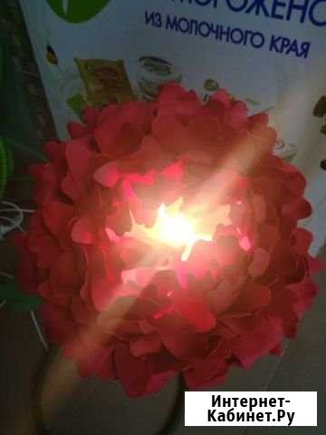 Пион-светильник Новосибирск - изображение 1