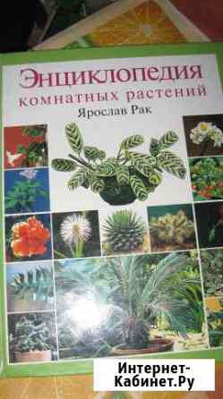 Ярослав Рак. Энциклопедия комнатных растений Нижний Новгород