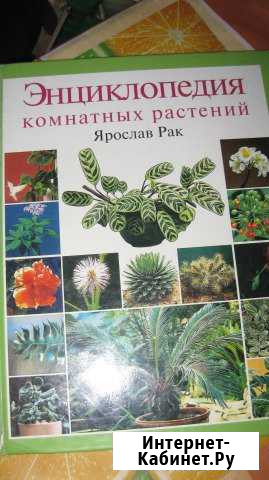 Ярослав Рак. Энциклопедия комнатных растений Нижний Новгород - изображение 1