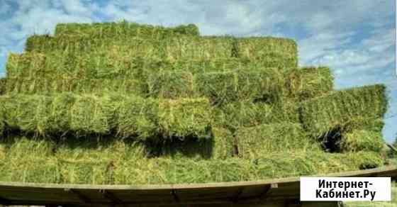 Сено и солома Барнаул