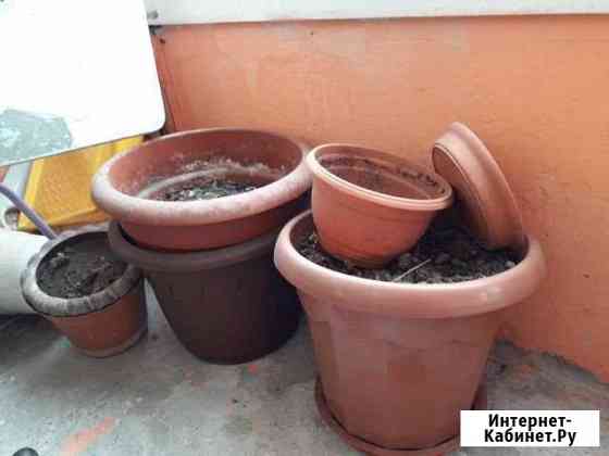 Горшки Томск