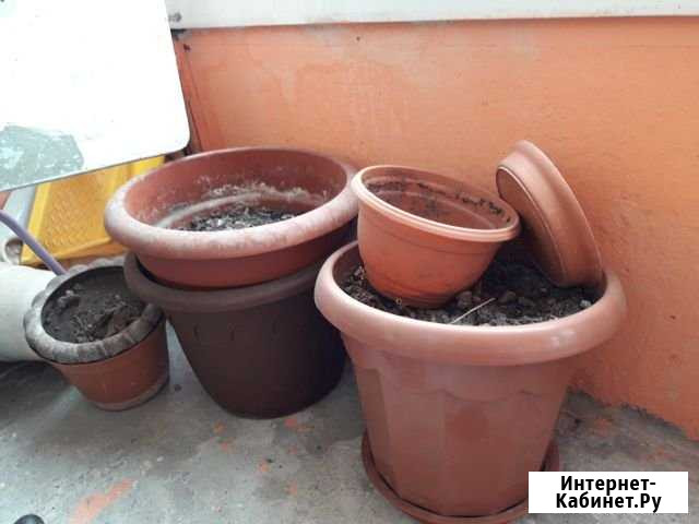 Горшки Томск - изображение 1