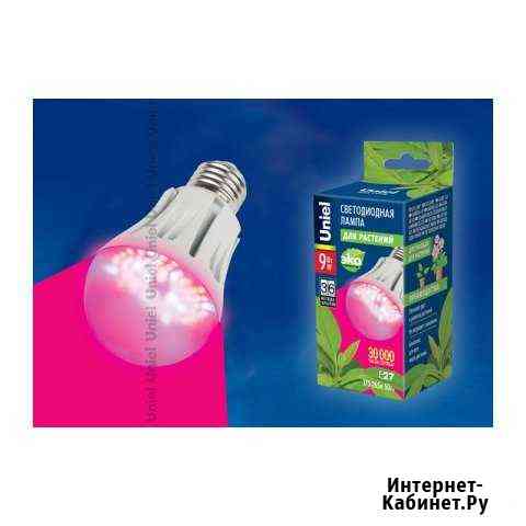 Лампа для растений А60 Е27 9В Чита