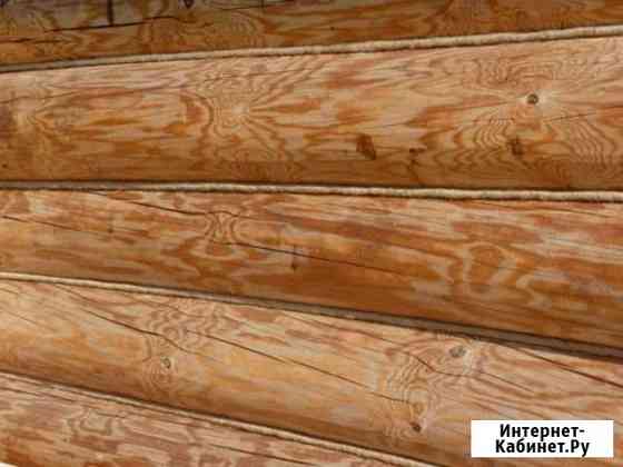 Конопатка Томск