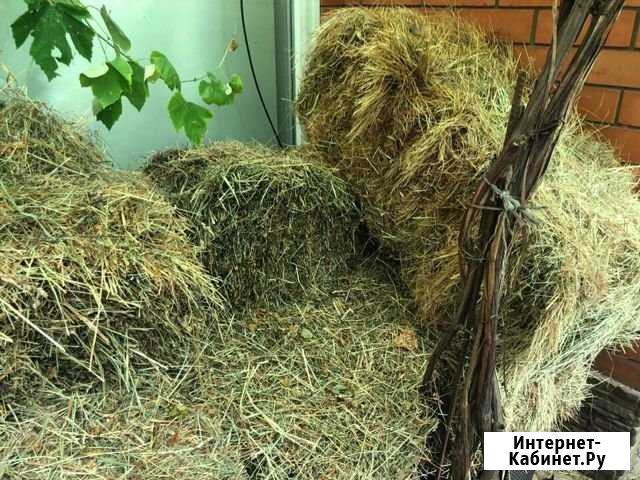 Сено в тюках Новороссийск - изображение 1