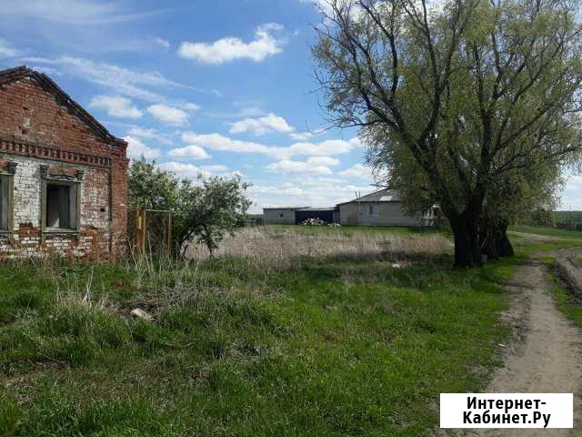 Участок 14 сот. (ИЖС) Катайск - изображение 1