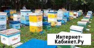 Ульи для пчёл. Рамки б/у Сызрань