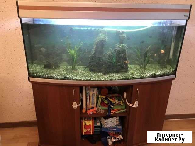 Продаю аквариум с тумбой, фильтром, рыбками, грунт Балашиха - изображение 1