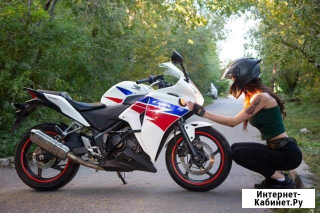 Чистокровный японец Honda CBR 250R 2013 Чита - изображение 1