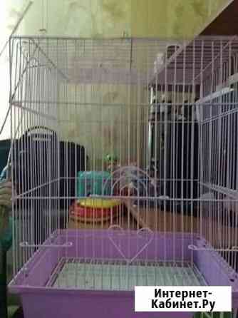 Клетка Астрахань
