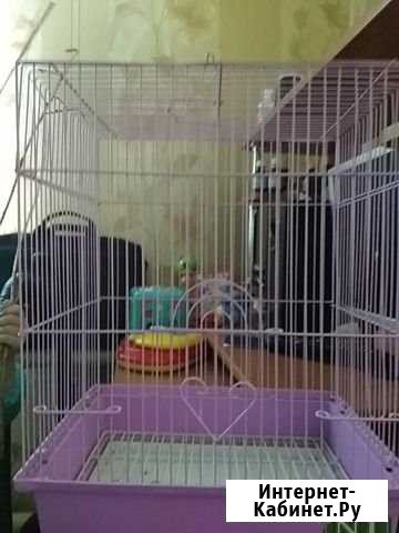 Клетка Астрахань - изображение 1