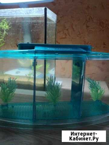 Аквариум. Нерестилище Betta Fish Tank Рославль - изображение 1