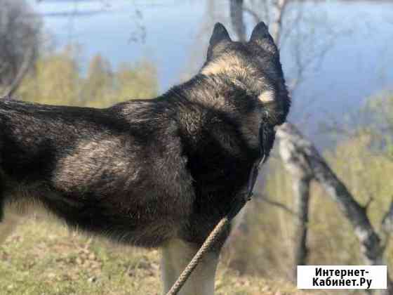 Предлагается для вязки Память Парижской Коммуны