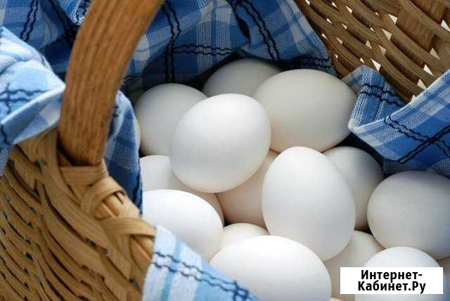 Яйца куриные домашние Большое Козино - изображение 1