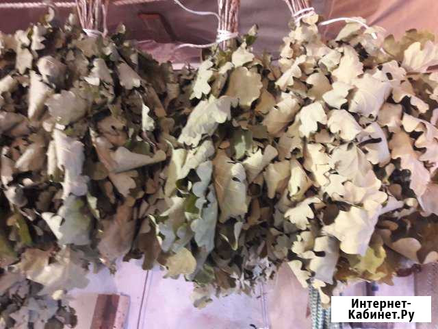 Веники для бани Калининград - изображение 1