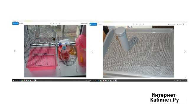 Клетка для хомяка Туалет для мал собачки Ставрополь - изображение 1