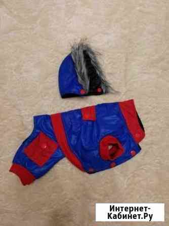 Одежда для собак Набережные Челны