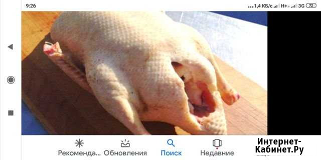 Утка-мулард Семикаракорск - изображение 1
