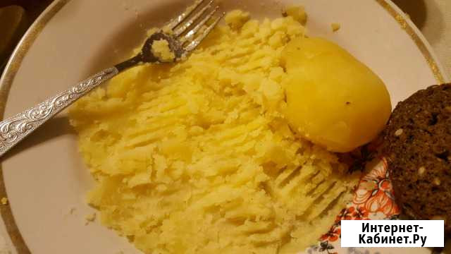 Картофель домашний Красноярск - изображение 1