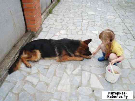 Док. РКФ Екатеринбург