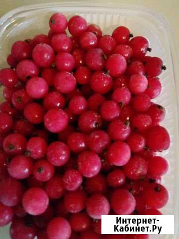 Красная смородина замороженная Томск - изображение 1