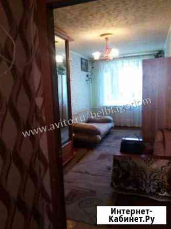 2-к квартира, 43 кв.м., 5/5 эт. Северный