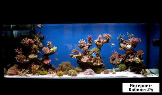 Соль для морского аквариума Marine Life reef salt Челябинск